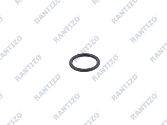 Spray Tank One-way Valve Stopper Sealing Ring