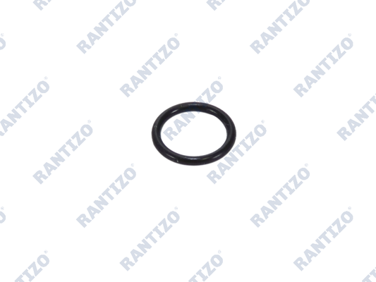 T30 Float Locating Rod Sealing Ring