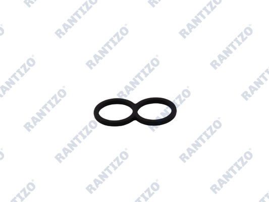 Water Pump Sealing Ring