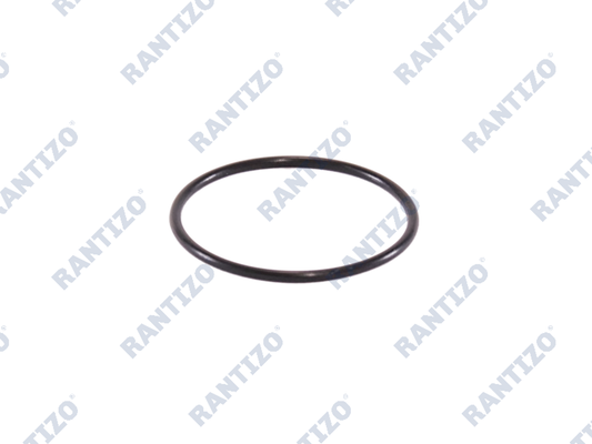 Pump Sealing Ring