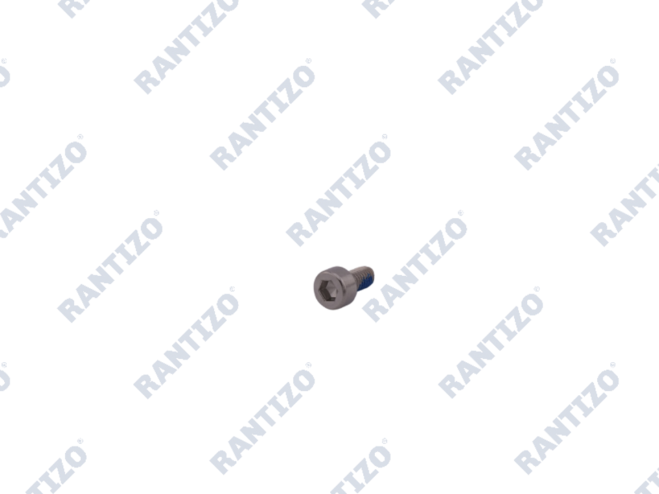 Screw M30-HC060060-55-85