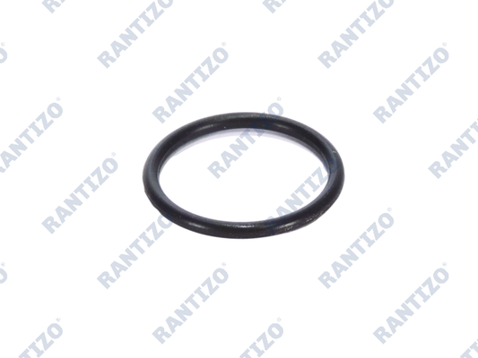 Spray Tank Filter Rubber Ring